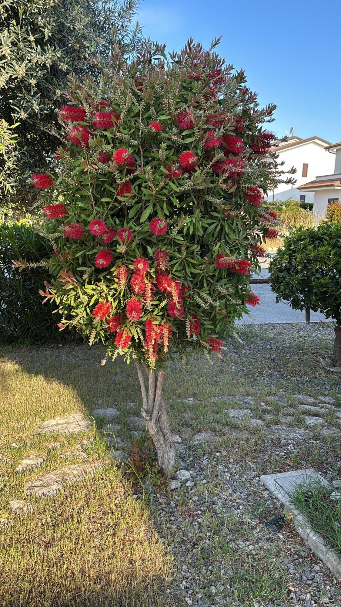 Apartment F24 Stignano Favaco Foca Luaran gambar