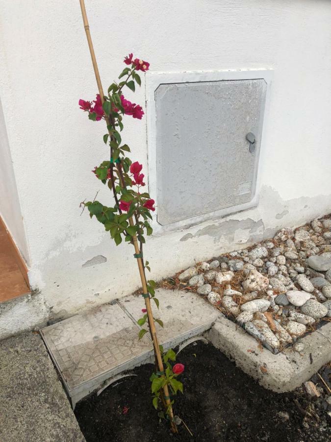 Apartment F24 Stignano Favaco Foca Luaran gambar